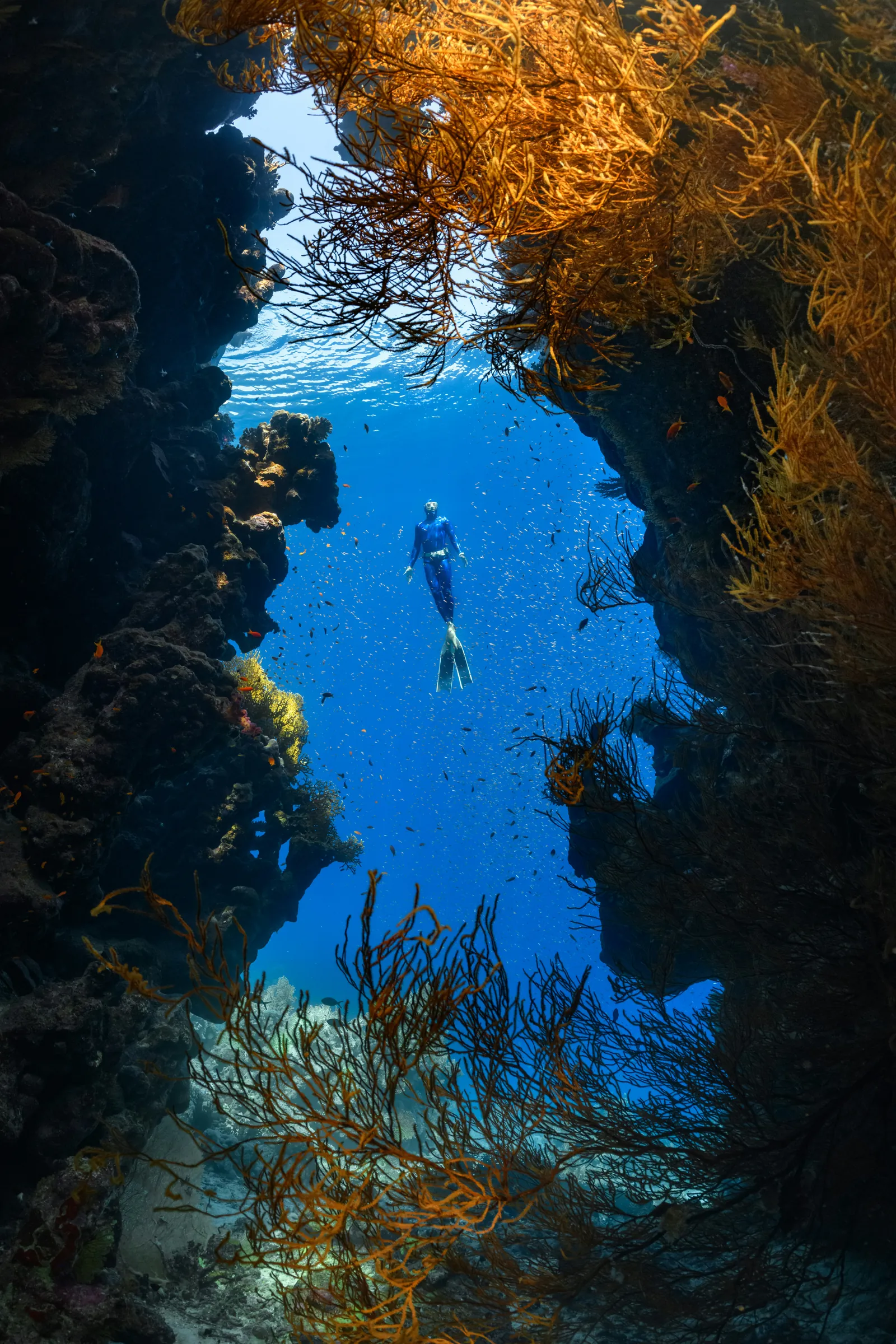 Great Barrier Reef