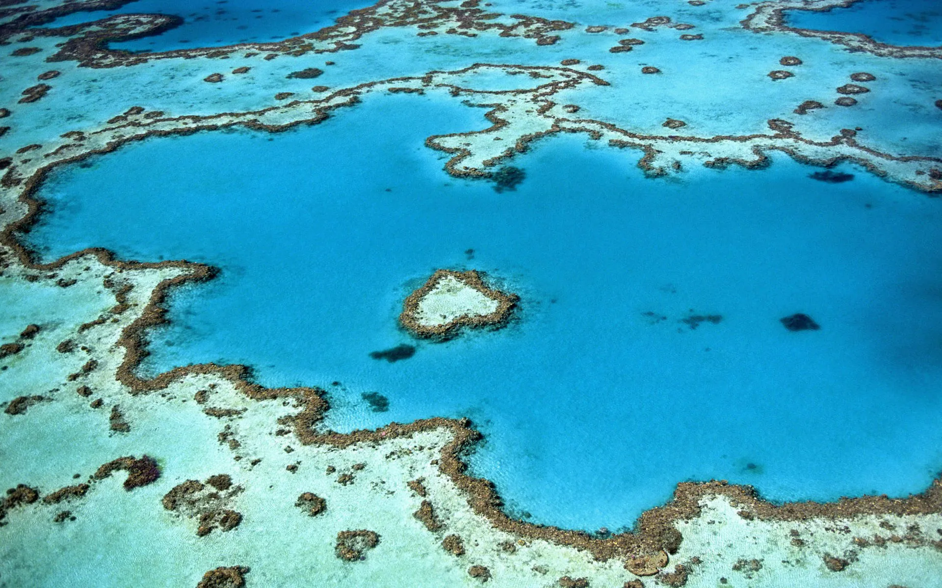 South Pacific landscape