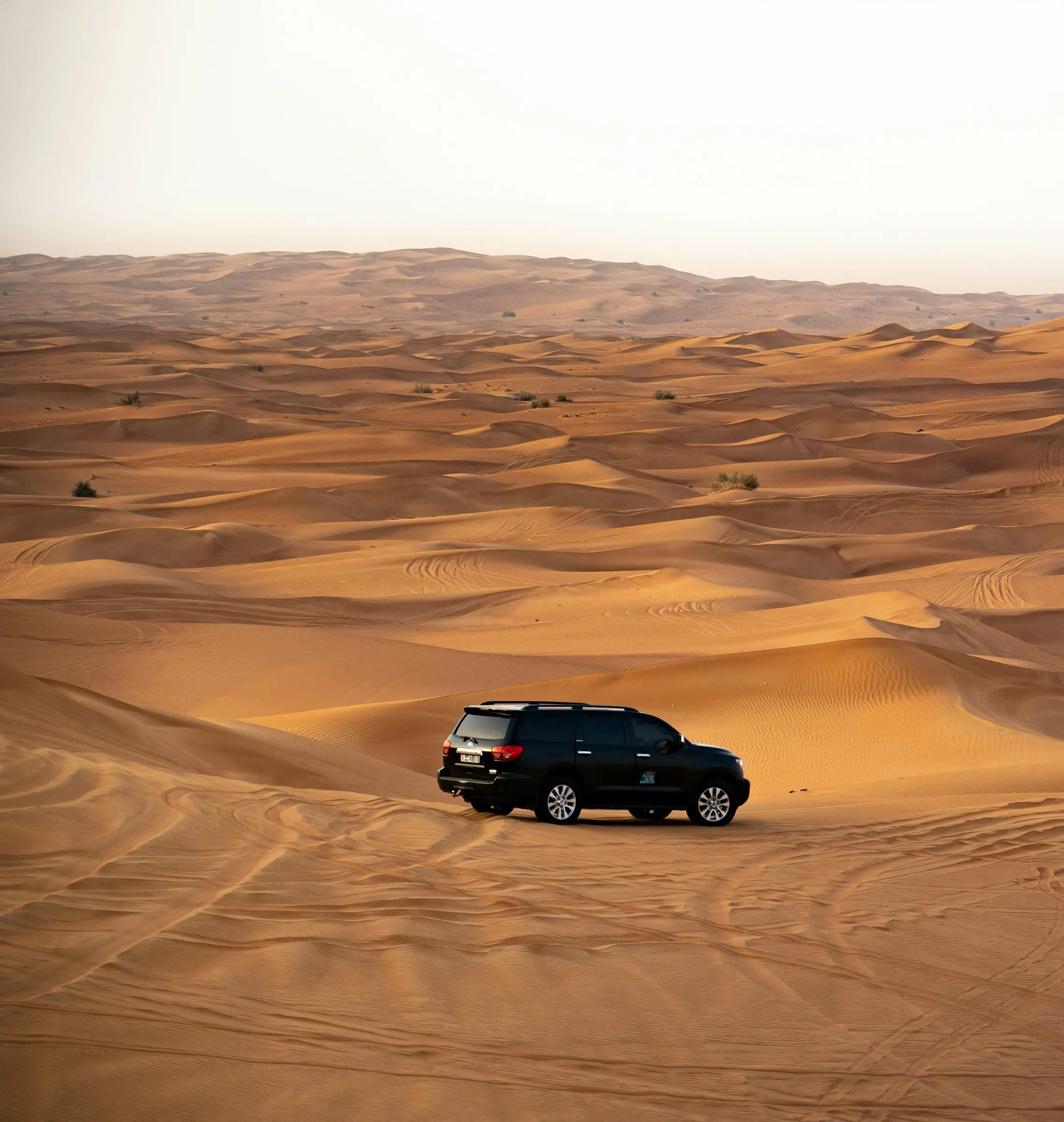 Arabian desert