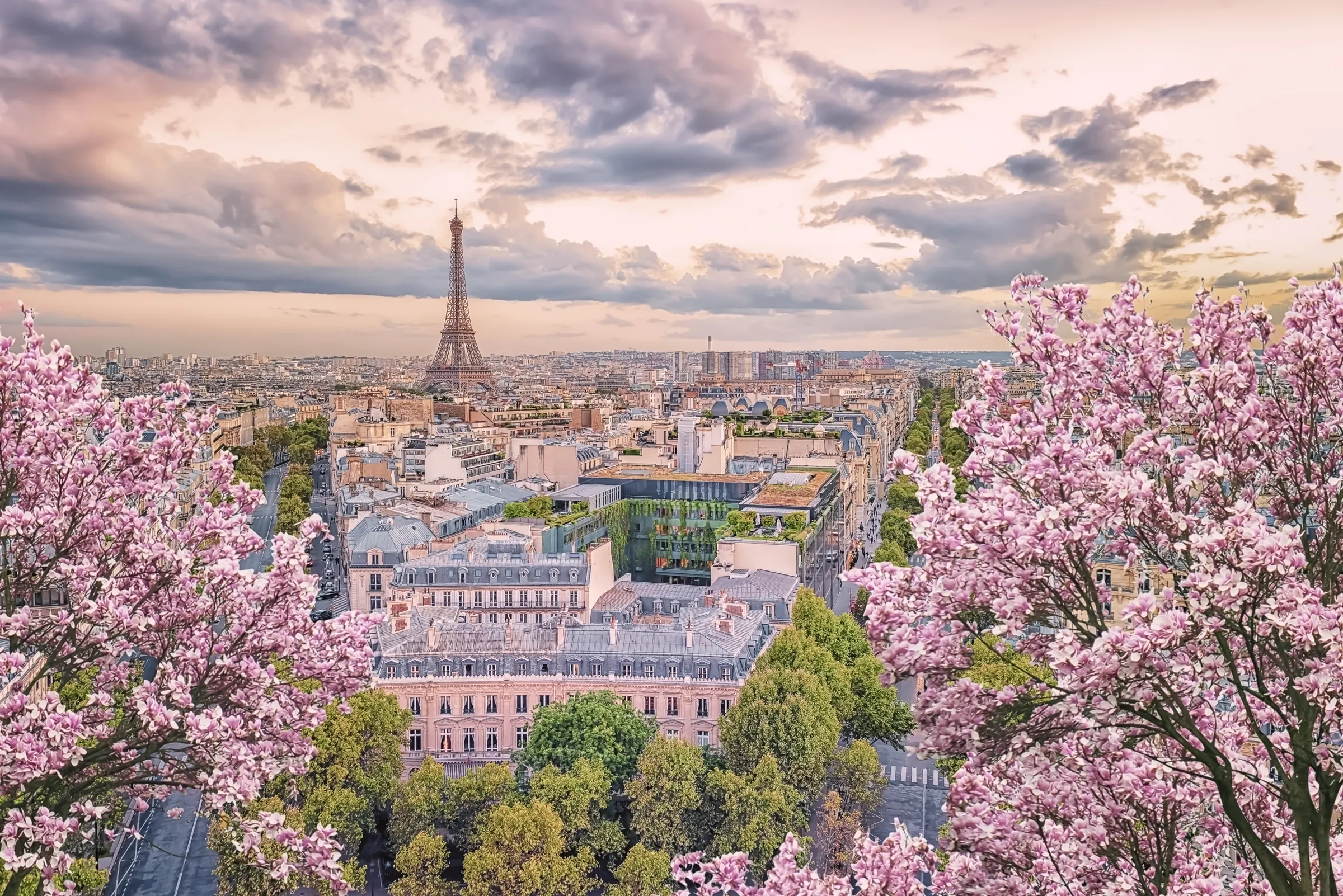 Provence
